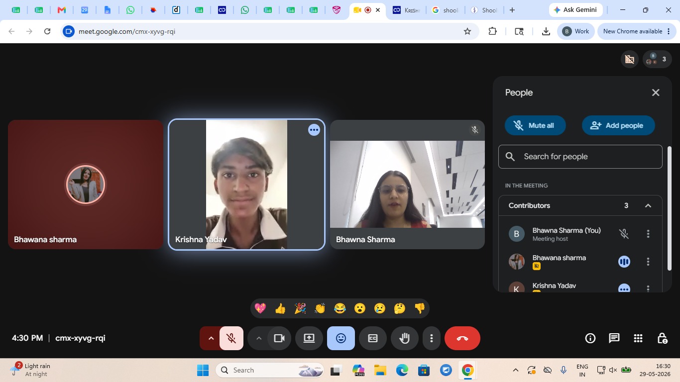 Virtual Mentorship